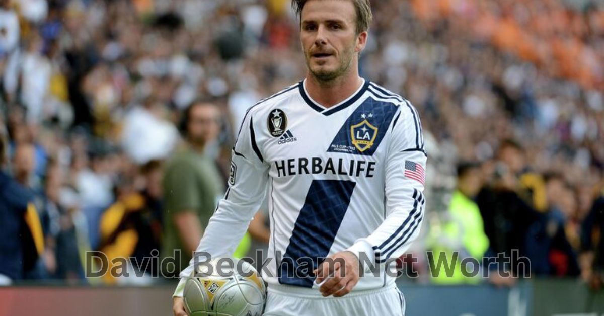 David Beckham Net Worth